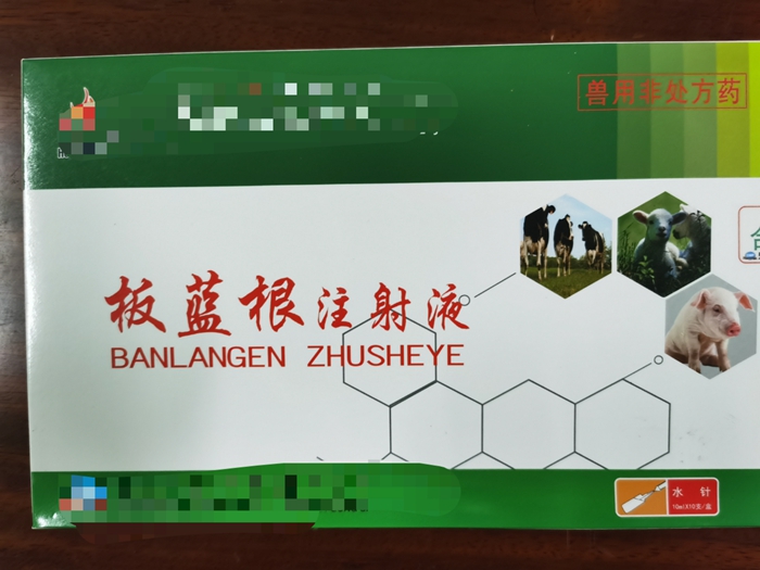 板藍根注射液--主治家畜流感，仔豬白痢，肺炎等發熱性疾病