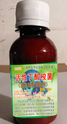 活性丁酸梭菌（畜禽腸健活菌劑100毫升裝），腸道保健益生菌中的佼佼者，頑固性腹瀉快速解決方案產(chǎn)品