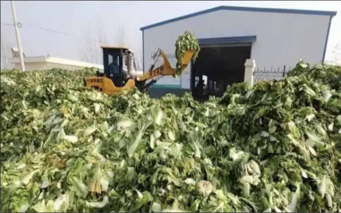 截屏2025-10-15 10.58.03.png